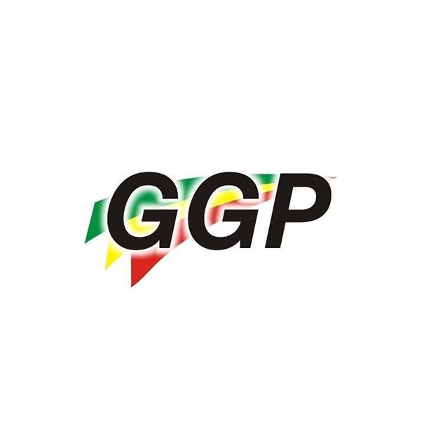 Logo 2