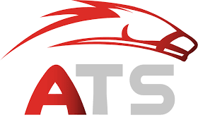 Logo 1